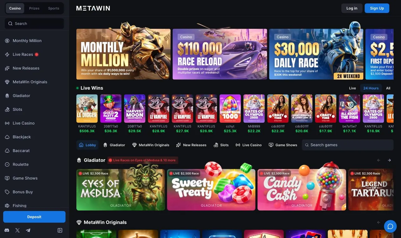 MetaWin home page on desktop