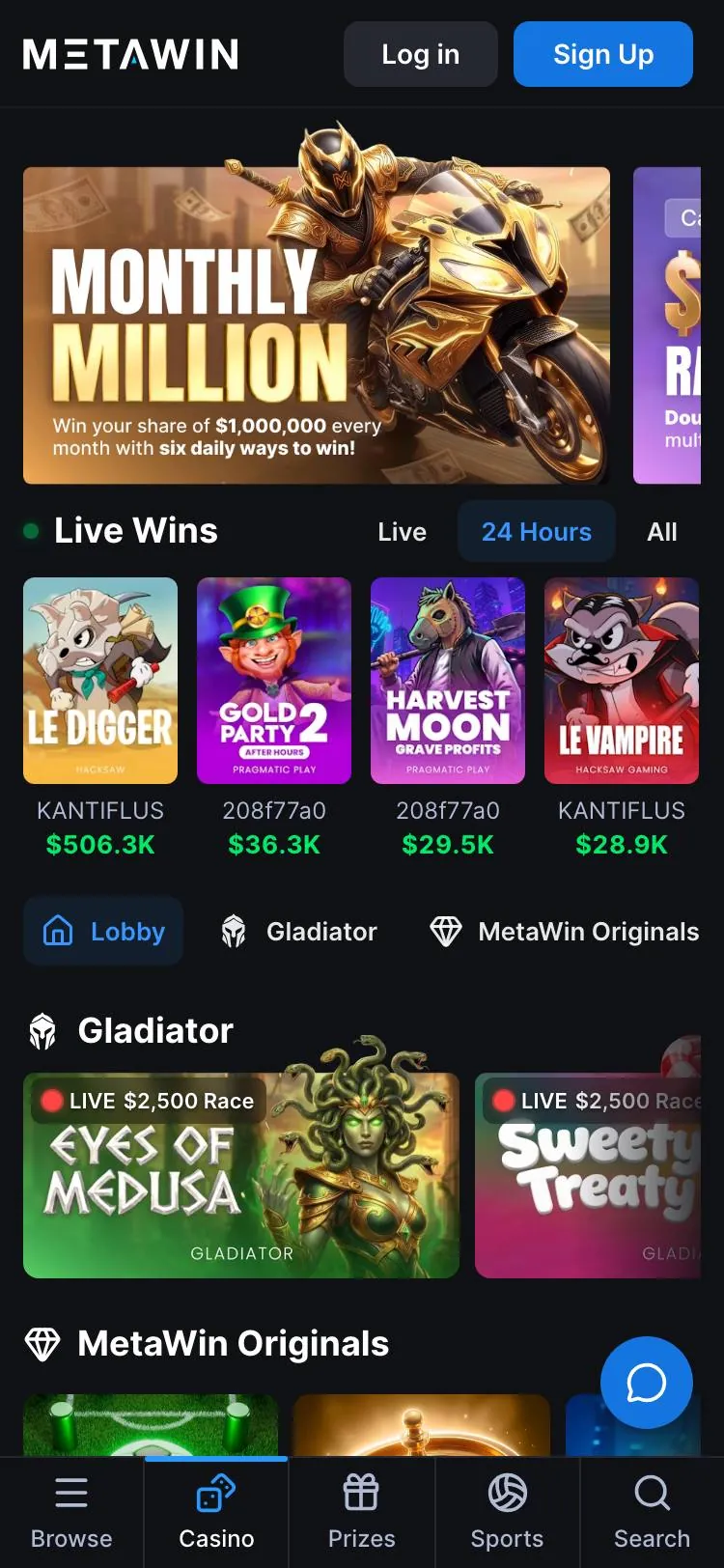 MetaWin home page on mobile