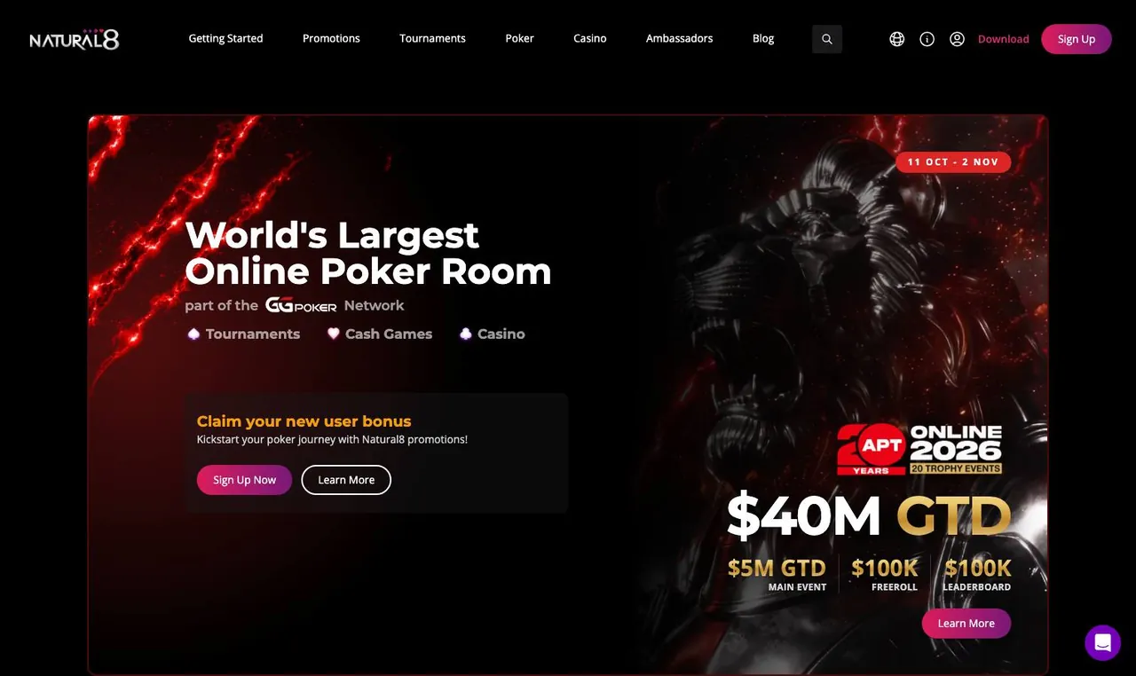 Natural8 home page on desktop