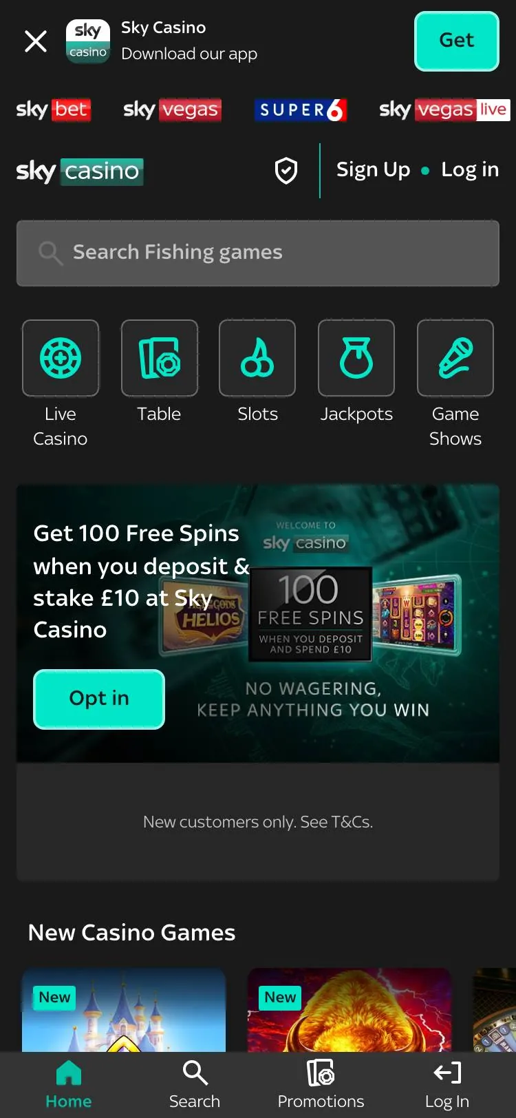 Sky Casino home page on mobile