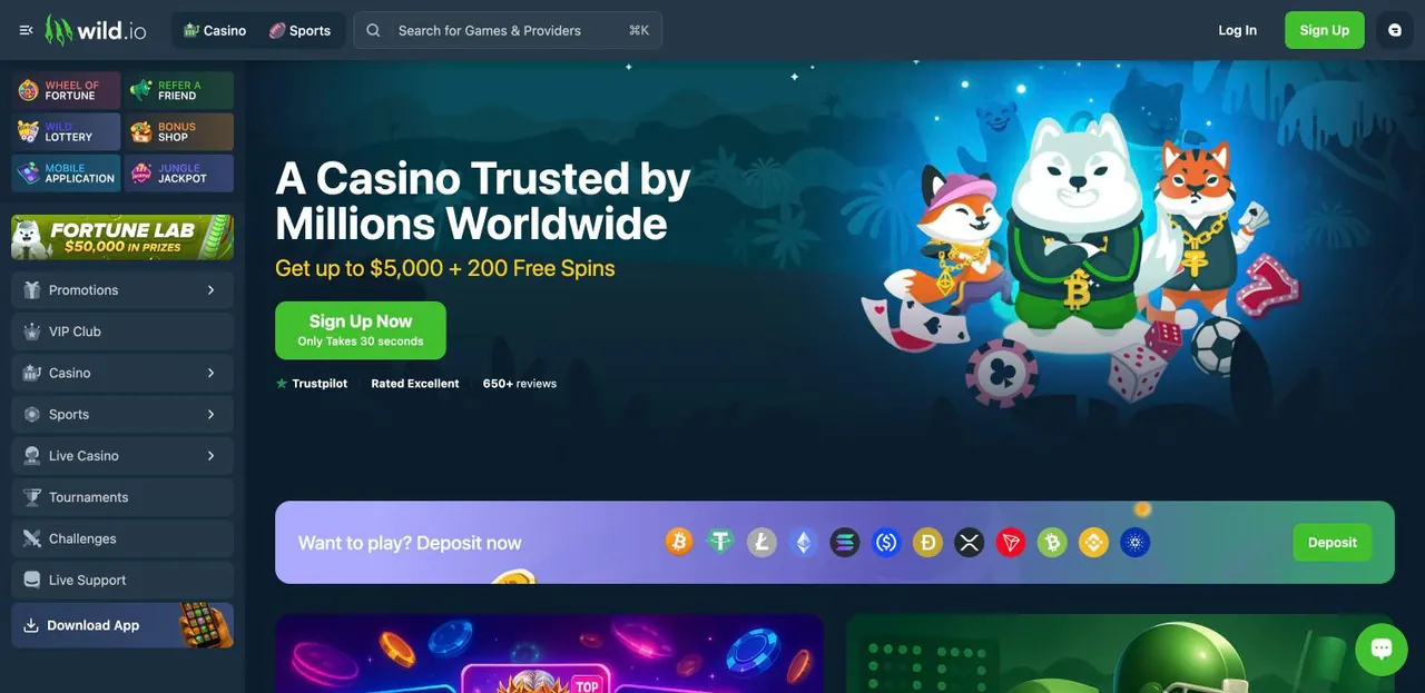 Wild.io home page on desktop